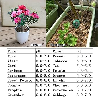 AUTO - BOTIX PH Meter for Soil Testing and Water Testing 3 Way Soil Meter with LCD Display Sunlight Temperature Manual AB0229 - Image 4