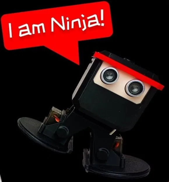 OTTO Ninja Robot 3D Printed Parts only (without servos and controller) - Image 4