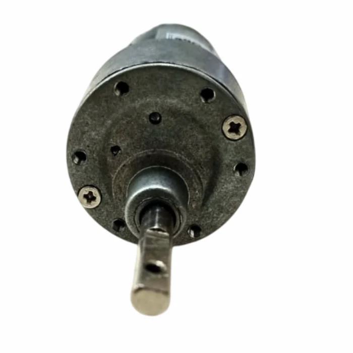 12V 100 RPM Johnson Geared DC Motor - Image 2